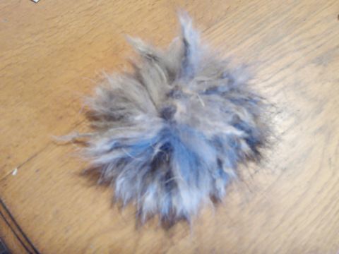 Pompon